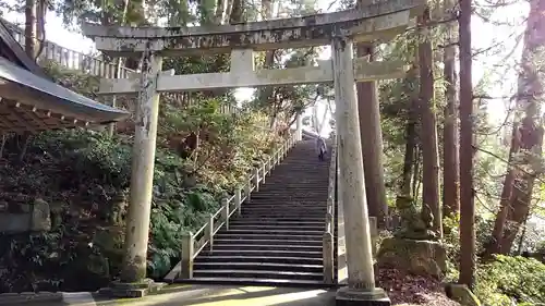 白山比咩神社の鳥居