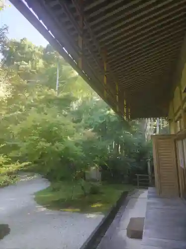圓光寺の{uncategorized: "未分類", other: "その他", undefined: "問題あり", building: "その他建物", grave: "お墓", sacred_gate: "鳥居", guardian: "狛犬", statue: "像", buddha: "仏像", history: "歴史", nature: "自然", garden: "庭園", animal: "動物", pagoda: "塔", temizu: "手水舎", mountain_gate: "山門・神門", sanctuary: "本殿・本堂", subordinate: "末社・摂社", art: "芸術", scenery: "景色", jizo: "地蔵", ema: "絵馬", goshuin: "御朱印", omikuji: "おみくじ", items: "授与品その他", amulet: "お守り", goshuincho: "御朱印帳", eats: "食事", festival: "お祭り", votive_dance: "神楽", shichigosan: "七五三参", wedding: "結婚式", experience: "体験その他", initially: "初詣", around: "周辺", anti_infection: "感染症対策"}