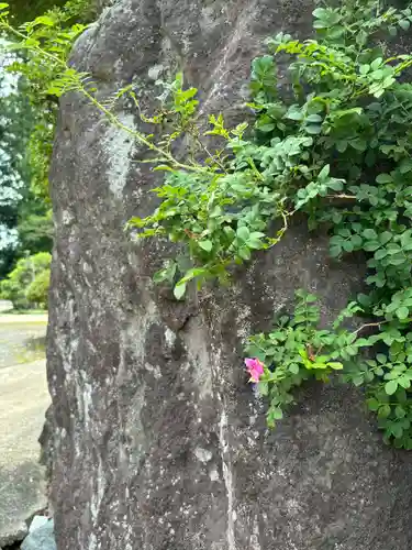無量寿寺(茨城県)
