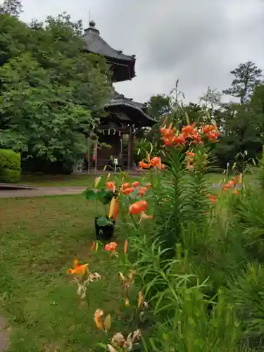 観音寺（世田谷山観音寺）の末社・摂社