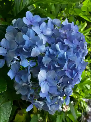 長谷寺(奈良県)