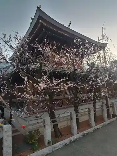 湯島天満宮(東京都)