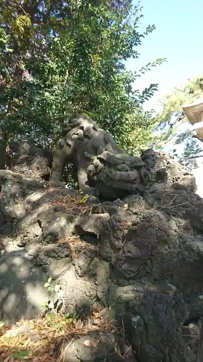 葛飾神社の狛犬