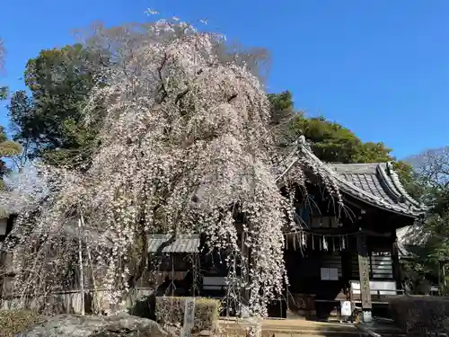 弘法寺(千葉県)