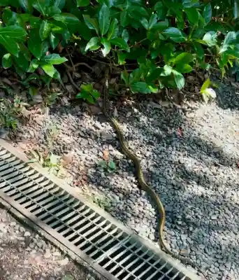 八千戈神社(静岡県)