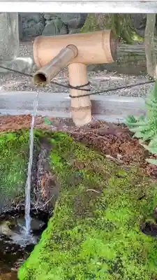 八坂神社(祇園さん)の手水舎