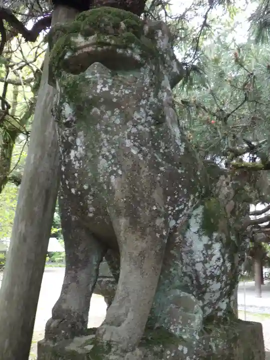 御霊神社(上御霊神社)の狛犬