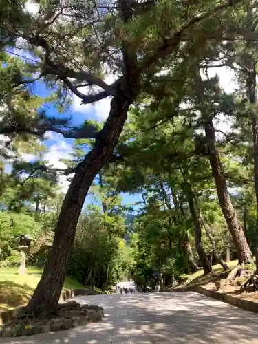 出雲大社(島根県)