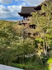 清水寺(京都府)