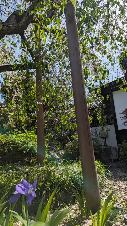 得浄明院(善光寺別院)(京都府)