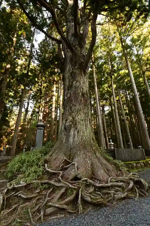 高野山金剛峯寺奥の院(和歌山県)