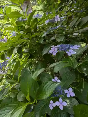 御霊神社の自然