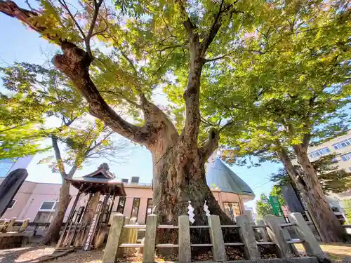 阿邪訶根神社の自然