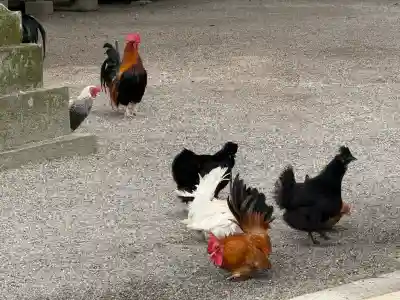 石上神宮の{uncategorized: "未分類", other: "その他", undefined: "問題あり", building: "その他建物", grave: "お墓", sacred_gate: "鳥居", guardian: "狛犬", statue: "像", buddha: "仏像", history: "歴史", nature: "自然", garden: "庭園", animal: "動物", pagoda: "塔", temizu: "手水舎", mountain_gate: "山門・神門", sanctuary: "本殿・本堂", subordinate: "末社・摂社", art: "芸術", scenery: "景色", jizo: "地蔵", ema: "絵馬", goshuin: "御朱印", omikuji: "おみくじ", items: "授与品その他", amulet: "お守り", goshuincho: "御朱印帳", eats: "食事", festival: "お祭り", votive_dance: "神楽", shichigosan: "七五三参", wedding: "結婚式", experience: "体験その他", initially: "初詣", around: "周辺", anti_infection: "感染症対策"}