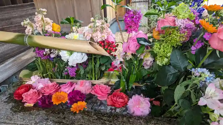 勝林寺(京都府)