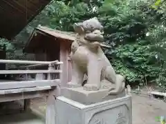 冨塚八幡宮の狛犬