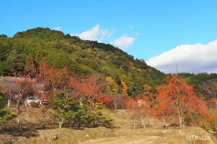 禅定寺(京都府)
