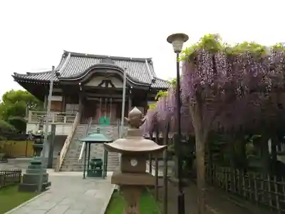 浄光寺の本殿・本堂