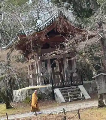 醍醐寺の{uncategorized: "未分類", other: "その他", undefined: "問題あり", building: "その他建物", grave: "お墓", sacred_gate: "鳥居", guardian: "狛犬", statue: "像", buddha: "仏像", history: "歴史", nature: "自然", garden: "庭園", animal: "動物", pagoda: "塔", temizu: "手水舎", mountain_gate: "山門・神門", sanctuary: "本殿・本堂", subordinate: "末社・摂社", art: "芸術", scenery: "景色", jizo: "地蔵", ema: "絵馬", goshuin: "御朱印", omikuji: "おみくじ", items: "授与品その他", amulet: "お守り", goshuincho: "御朱印帳", eats: "食事", festival: "お祭り", votive_dance: "神楽", shichigosan: "七五三参", wedding: "結婚式", experience: "体験その他", initially: "初詣", around: "周辺", anti_infection: "感染症対策"}