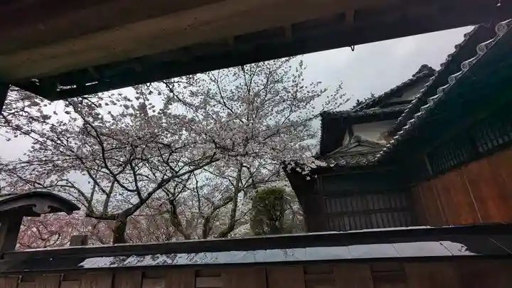 勝持寺(花の寺)(京都府)