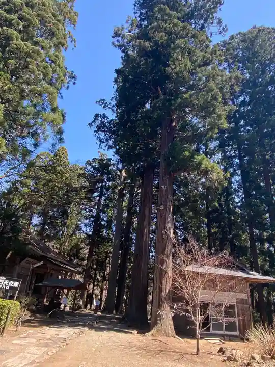 毘沙門堂のその他建物