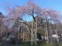 足羽神社(福井県)