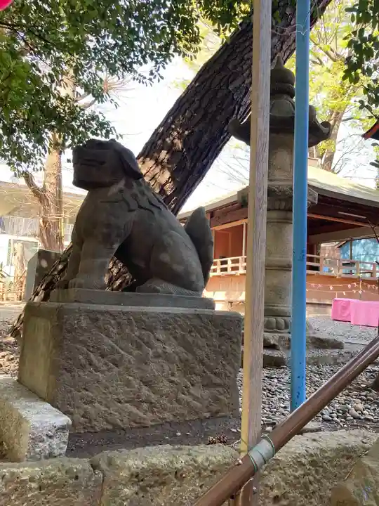 上目黒氷川神社の狛犬