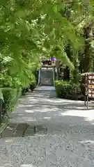 高鴨神社(奈良県)