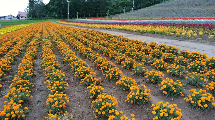 中富良野神社の周辺