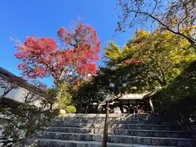 三千院門跡(京都府)