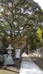 石鎚神社の建物その他