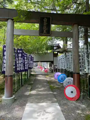 若宮神明社の鳥居