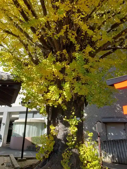 稼穡稲荷社(東京都)