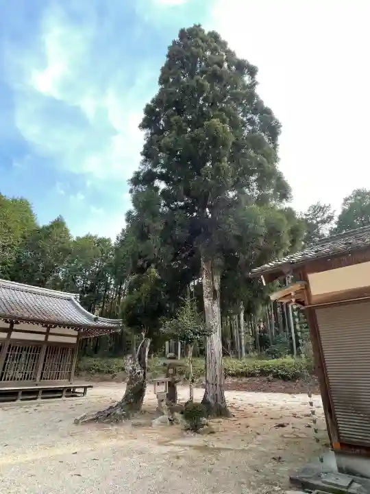 須賀神社(滋賀県)