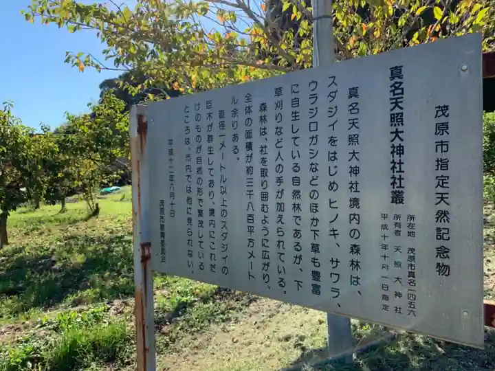 天照大神社(千葉県)