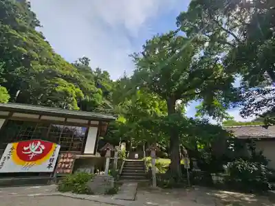 天津神明宮(千葉県)