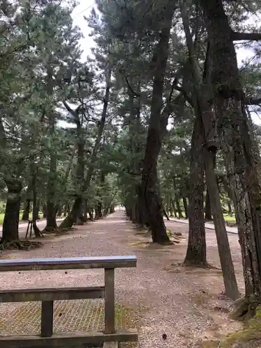 出雲大社(島根県)
