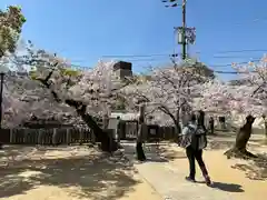 四天王寺(大阪府)