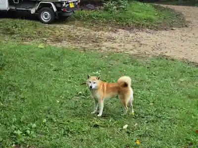 高貴寺(大阪府)