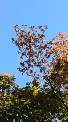 光明寺（粟生光明寺）(京都府)