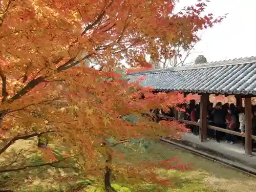 東福禅寺（東福寺）(京都府)