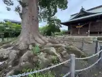 山内天満宮の本殿・本堂