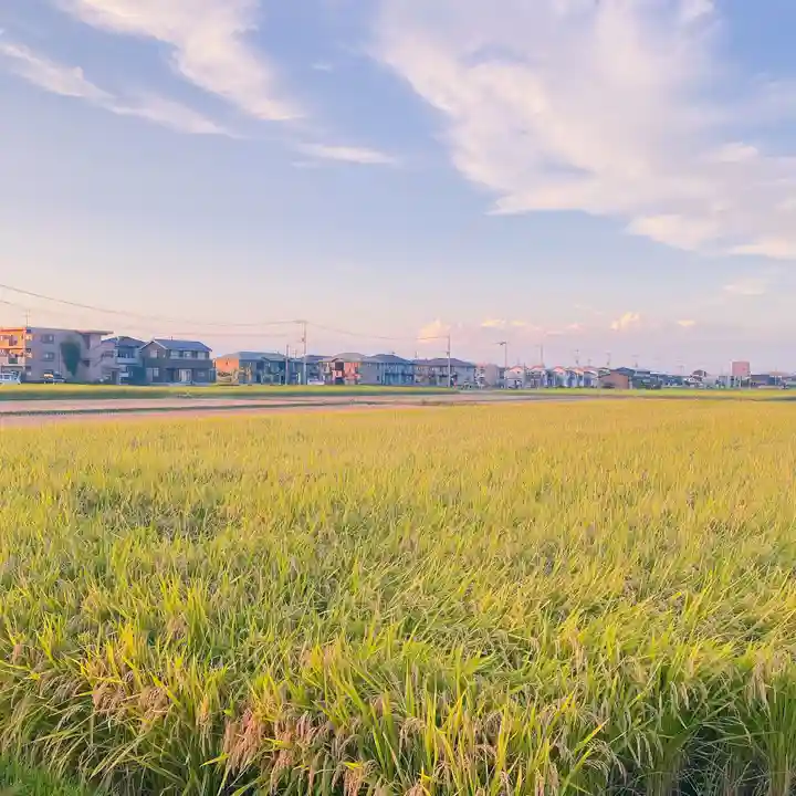 埼玉厄除け開運大師・龍泉寺(切り絵御朱印発祥の寺)の景色
