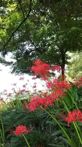 駒形神社の自然