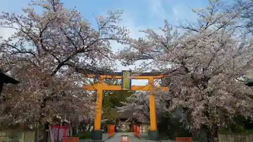 平野神社の鳥居