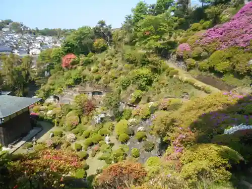 仏行寺（佛行寺）の庭園