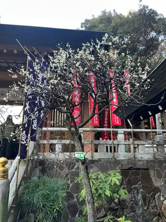 東京大神宮(東京都)