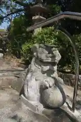 琴崎八幡宮の狛犬