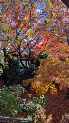 法金剛院(京都府)