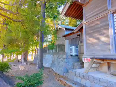 稲荷神社(小田渕町)の本殿・本堂